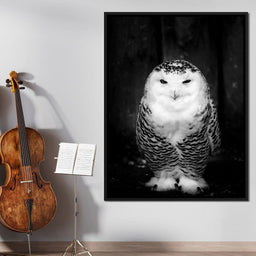 Black and White Snowy Owl - NicheCanvas