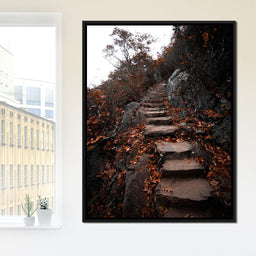 Autumn Path - Lucas Moore - NicheCanvas