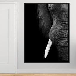 Black and White Elephant Close up - NicheCanvas
