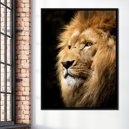 Lion View - Milos Karanovic - NicheCanvas