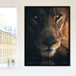 Lion Portrait Water - Zenzdesign - NicheCanvas