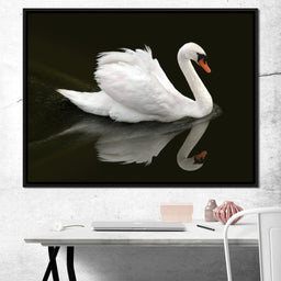 Swan - Ben Heine - NicheCanvas