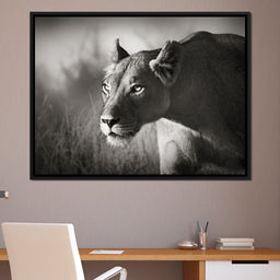 Lioness - NicheCanvas