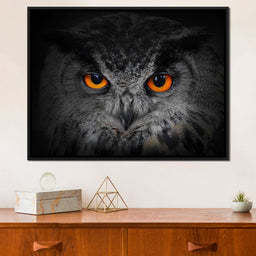 Black & White Owl with Orange Eyes - NicheCanvas