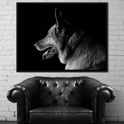 Black and White German Shepherd - NicheCanvas