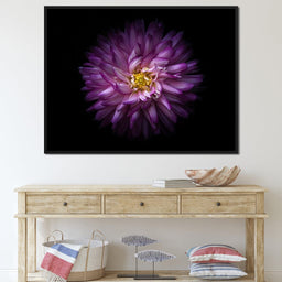 Backyard Flowers Series 1 - Brian Carson - NicheCanvas