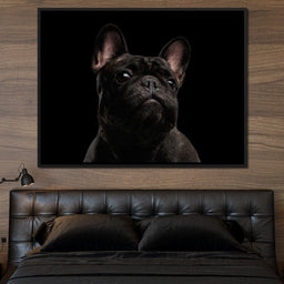 Black French Bulldog - NicheCanvas
