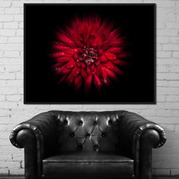 Backyard Flowers 45 - Brian Carson - NicheCanvas