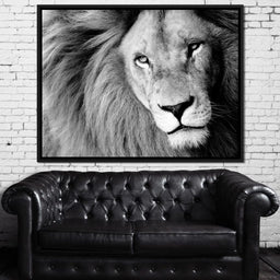 Lion Portrait - NicheCanvas