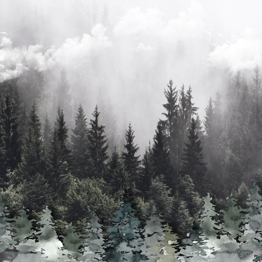 Foggy Forest Canvas Print