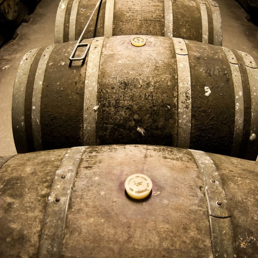 Rusted Wine Barrels Canvas Print