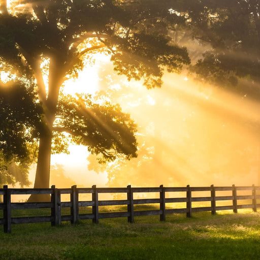 Break of Dawn - Lucas Moore Canvas Print