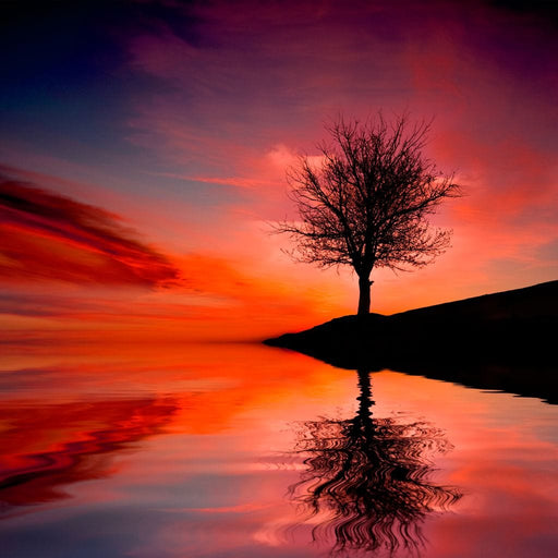 Red Sunset framed canvas