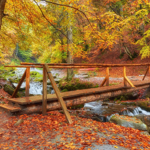 Wooden Bridge Canvas Print