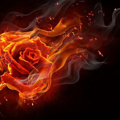 Rose on Fire Canvas Print