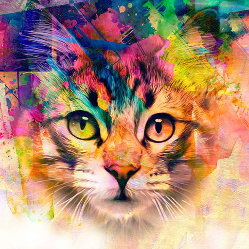 Curious Cat Canvas Print