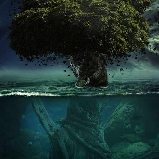 Alone in Depth - Milos Karanovic Canvas Print