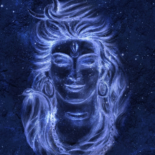 Om Namah Shiva Canvas Print