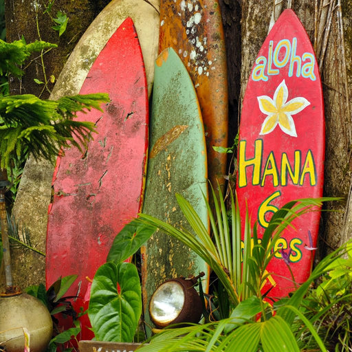 Surfboards in Hawaii Canvas Print
