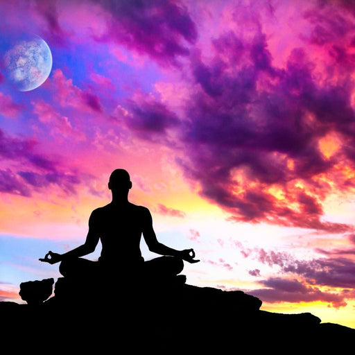 Master of Yoga Canvas Print