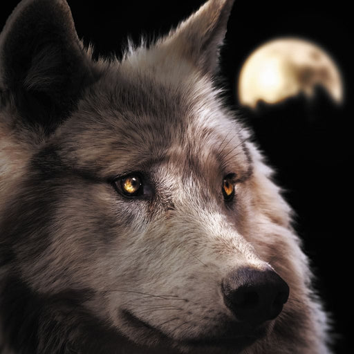 Wolf Moon - Zenzdesign Canvas Print