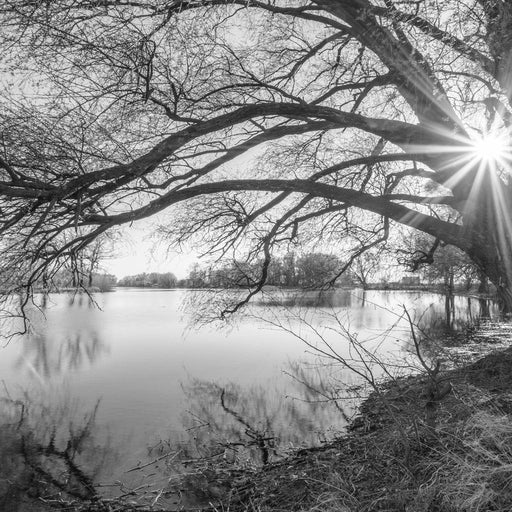 Black & White Lake Canvas Print