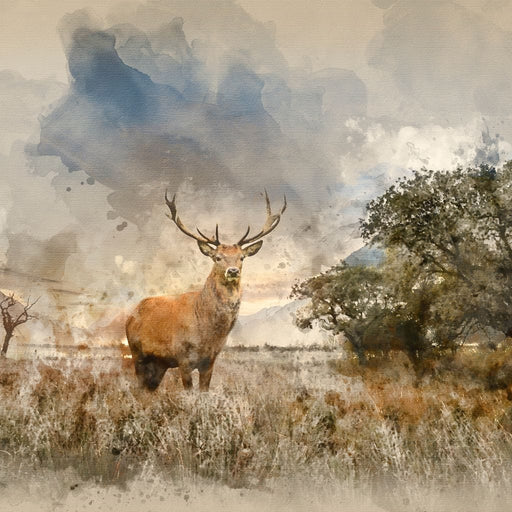 Red Deer Canvas Print