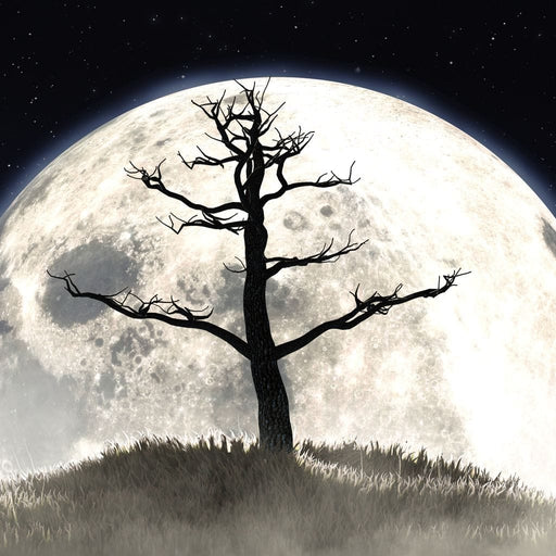 Leafless Tree - Canvas Print - one of a kind wall art of an old withering tree in front of a huge full moon - this home decor adds a touch of class to any space | NicheCanvas