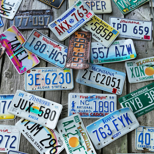 License Plates Canvas Print