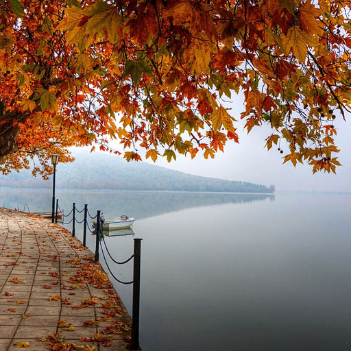 Lakeshore by Fall Canvas Print