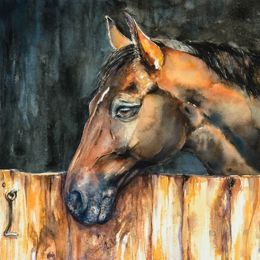 Horse in the Stable Canvas Print