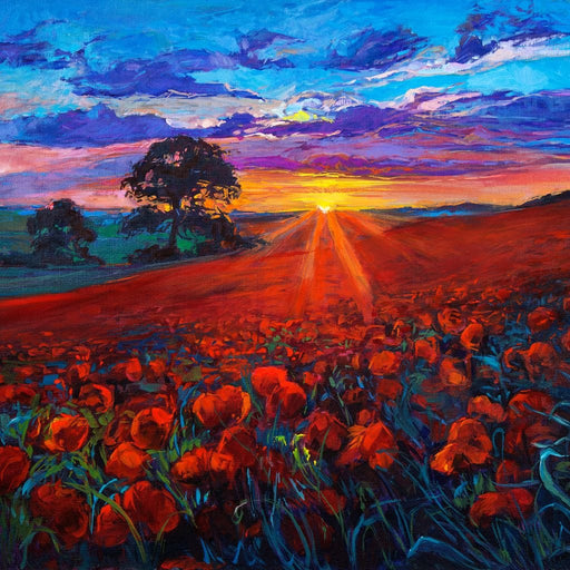 Sunset over the Poppy Fields framed canvas print