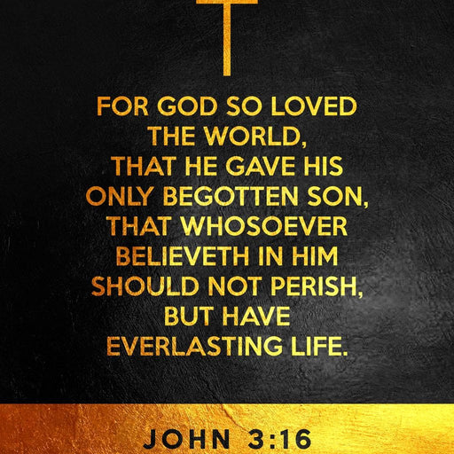 John 3:16 - ABConcepts Canvas Print