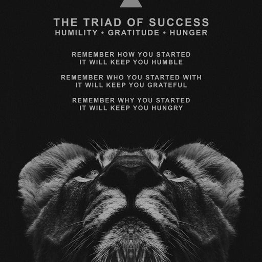 The Triad of Success - ABConcepts Canvas Print