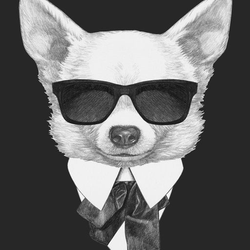 Dressed Up Chihuahua Canvas Print