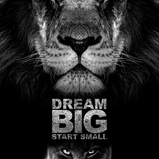 Dream Big Start Small - ABConcepts Canvas Print
