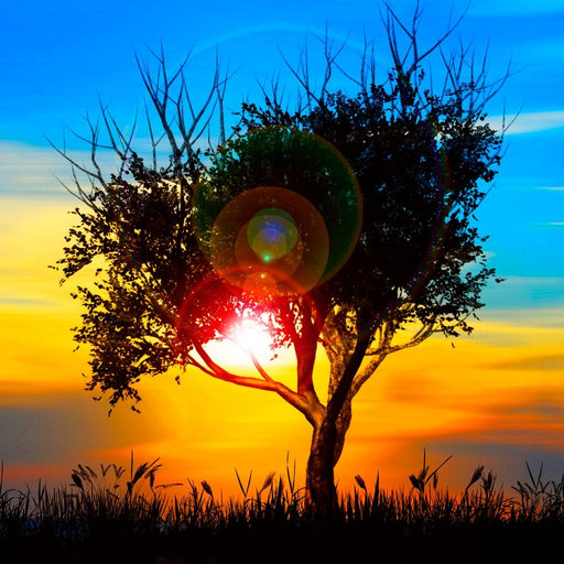 Colorful Sundown Canvas Print