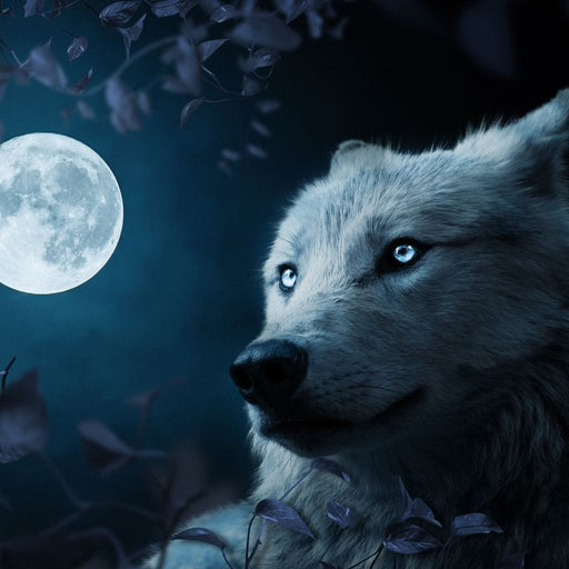 Wolf Full Moon - Milos Karanovic Canvas Print