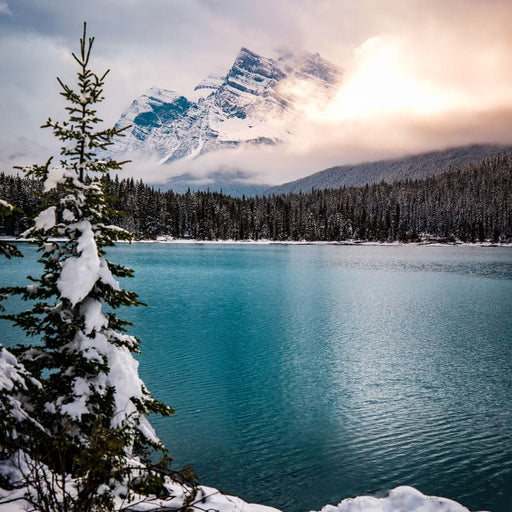 Winter Wonderland - Lucas Moore Canvas Print