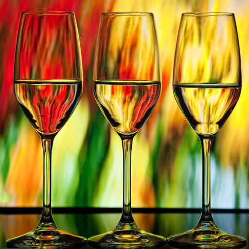 Multicolor Wine Glass Canvas Print