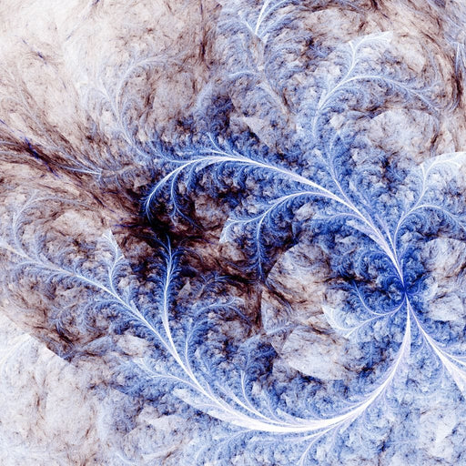 Infatuation of Discovery Canvas Print