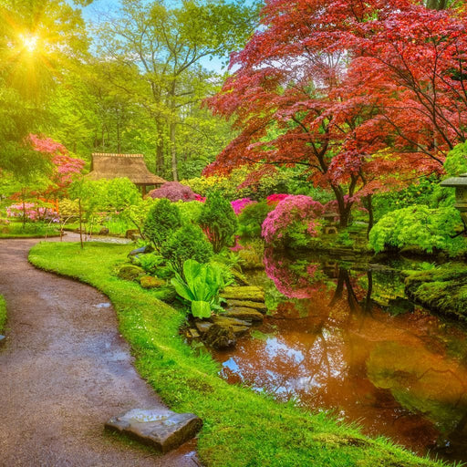 Japanese Garden Canvas Print