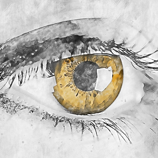 Eye - Mateo Canvas Print