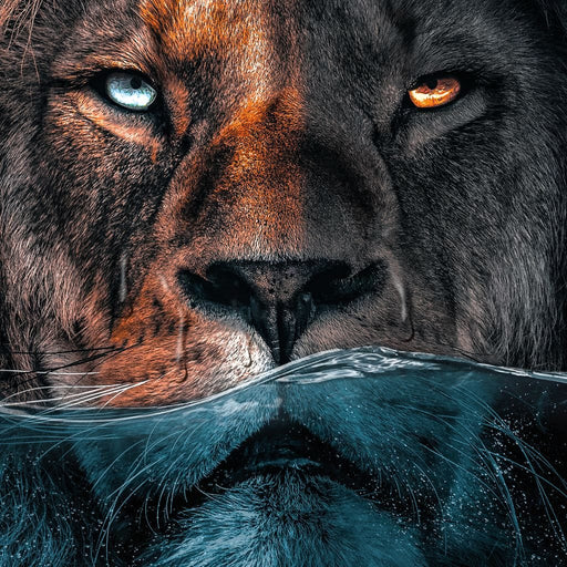 Diving Lion - Zenzdesign Canvas Print