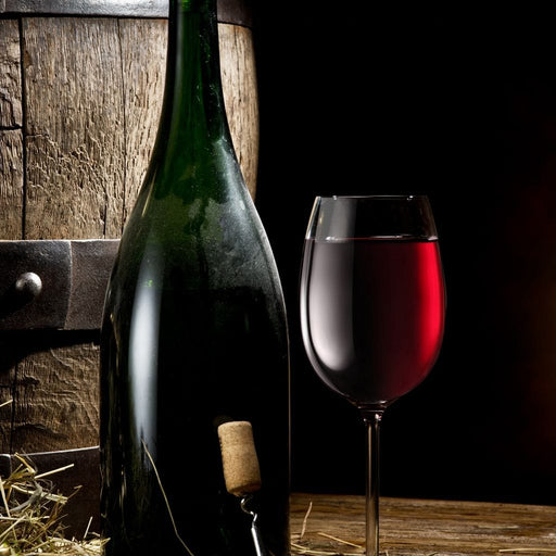 Wine Tasting Canvas Print