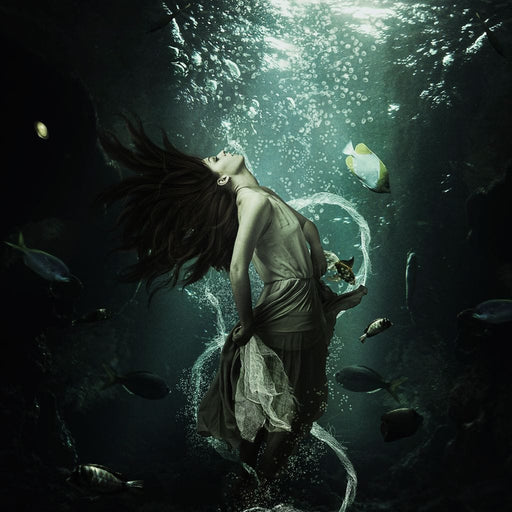 Come With Me - Milos Karanovic Canvas Print