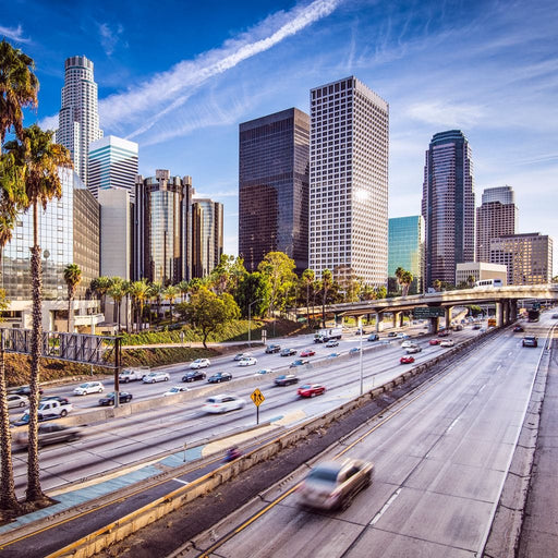 Los Angeles Skyline Canvas Print