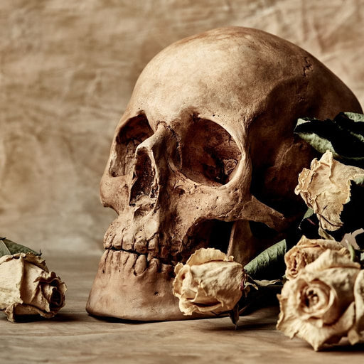 Skull and Dead Roses - Canvas Print - interesting wall art of a skull beside a dead flower - this one of a kind 5 panel decor will surely make your visitors stare | NicheCanvas