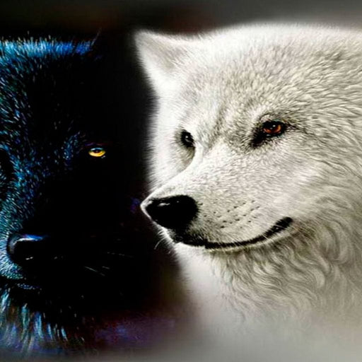 Ying & Yang Wolves - Canvas Print - gorgoeus 5 panel wall art of white and black wolves - this unique art painting will leave your visitors staring | NicheCanvas