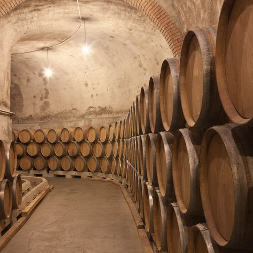 Barrels of Wine Canvas Print